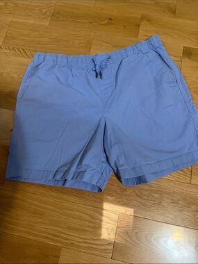 GAP Light Blue Men's Athletic Drawstring Shorts